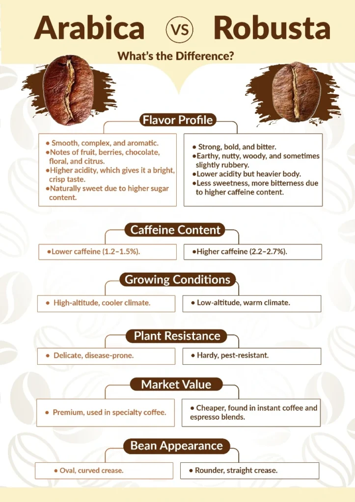 Arabika vs Robusta: Beda Rasa, Kafein & Harga arabica vs robusta